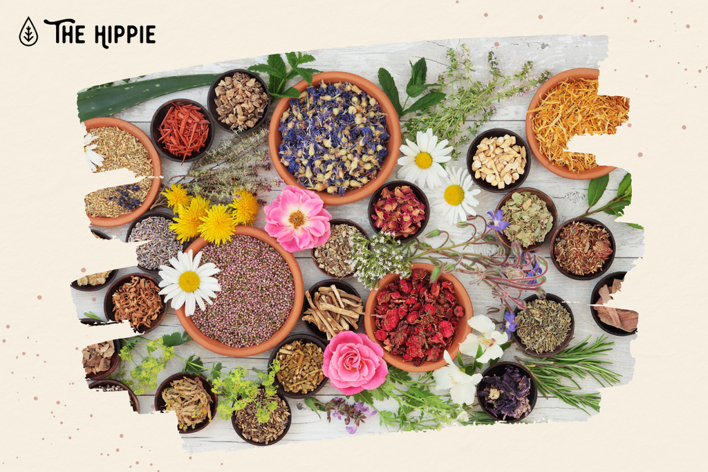 Floral and Fruity Vape Herbs That Taste Like Spring