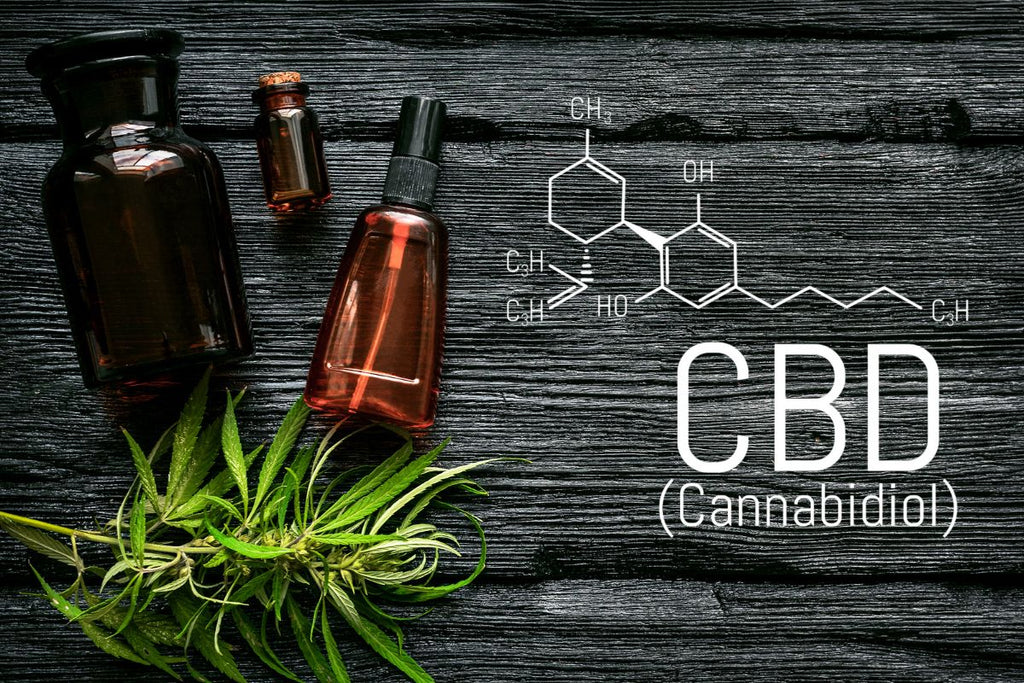 What Is CBD Oil?