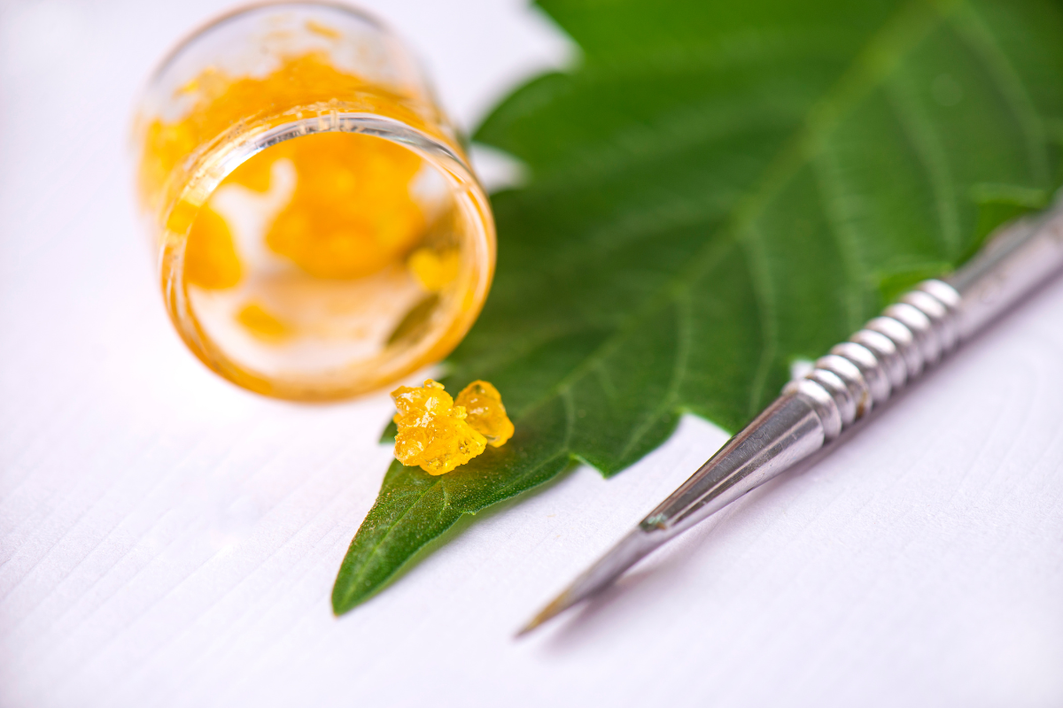 Exploring the Science Behind Terpenes