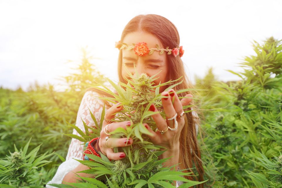 The Green Revolution: How Influencers are Pioneering the Weed Industry