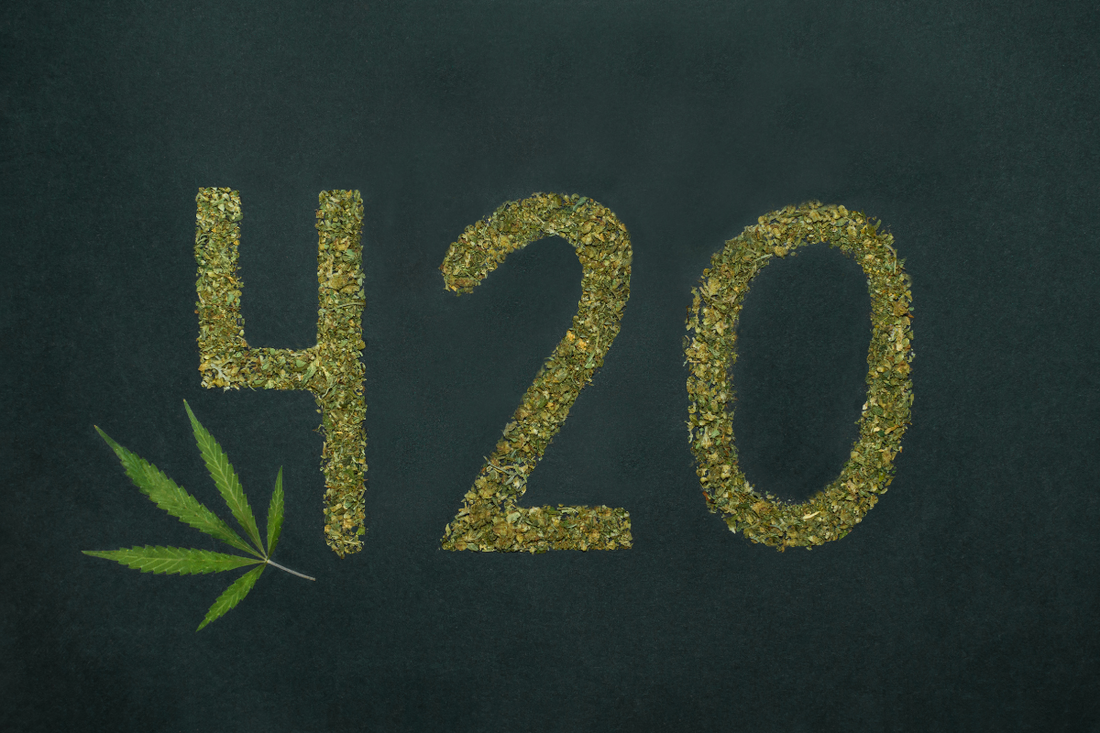 420: Unveiling the Origins of a Counterculture Phenomenon