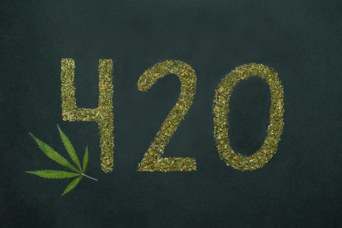 420: Unveiling the Origins of a Counterculture Phenomenon