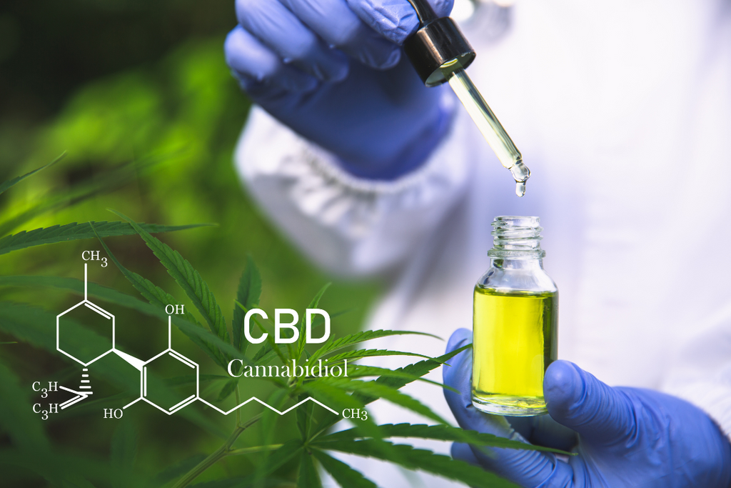 Demystifying CBD Extraction Methods