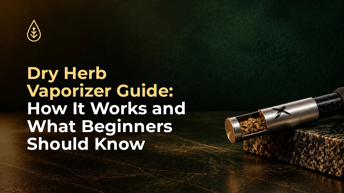 Dry Herb Vaporizer Guide- How It Works and What Beginners Should Know