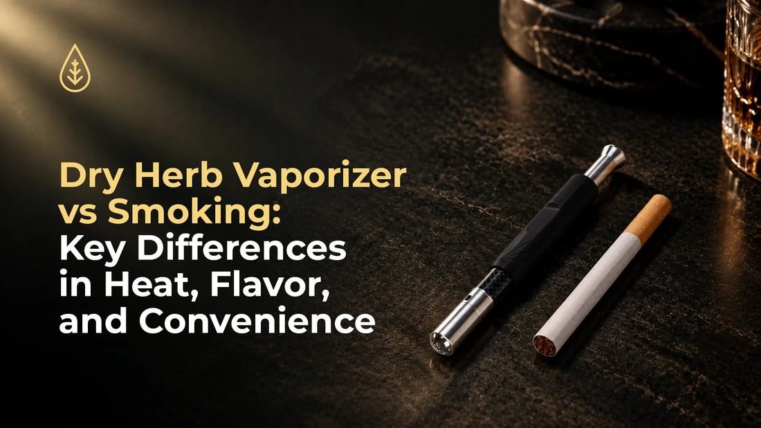 Dry Herb Vaporizer vs Smoking: Key Differences in Heat, Flavor, and Convenience