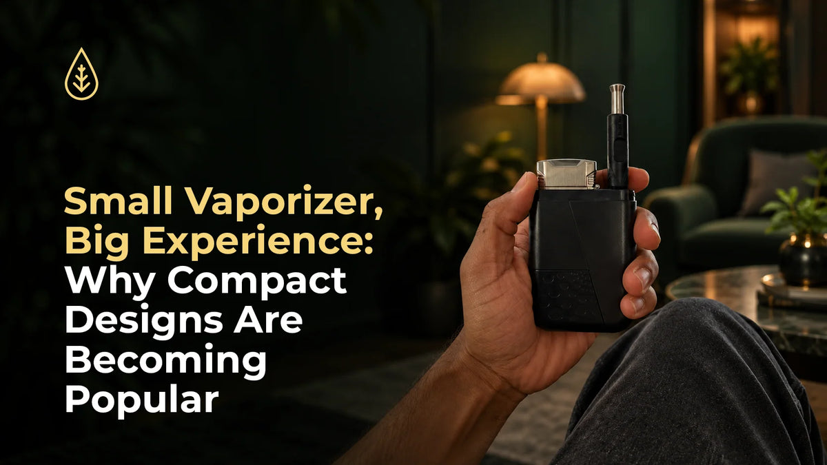 Small Vaporizer, Big Experience: Why Compact Designs Are Becoming Popular