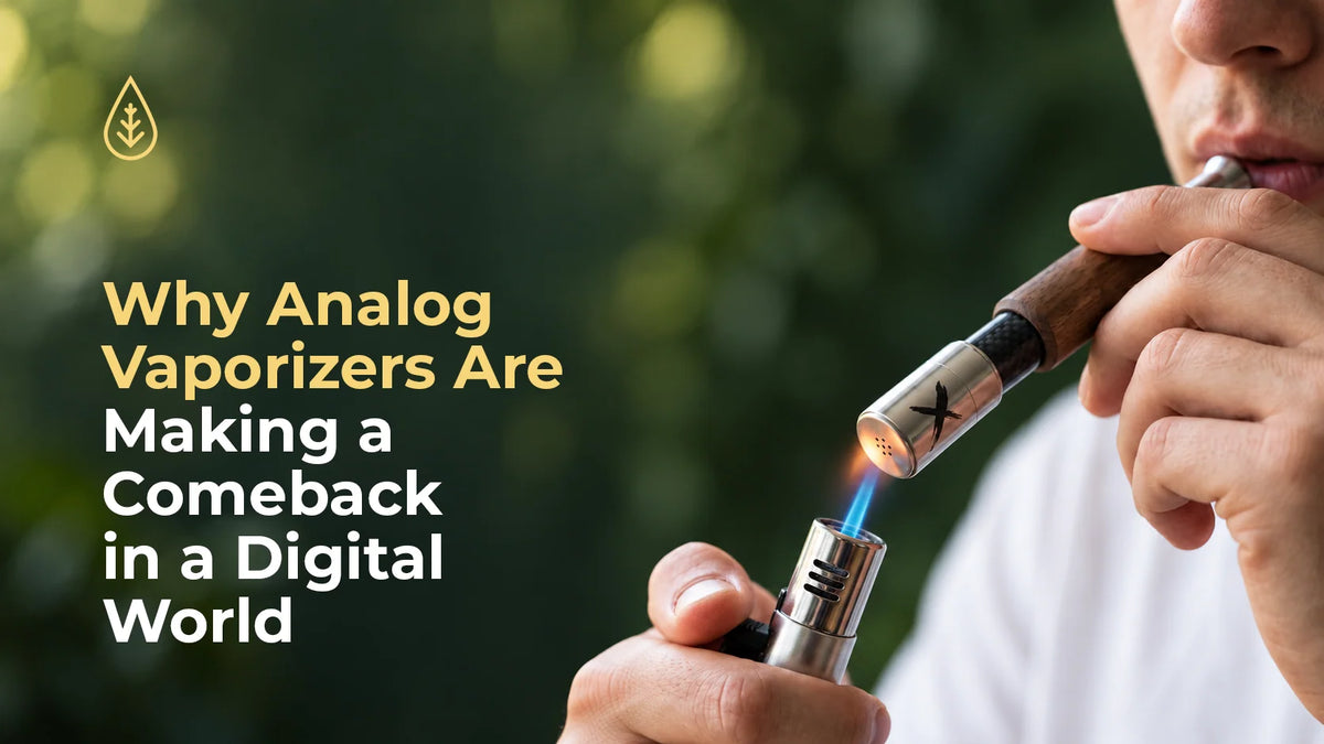 Why Analog Vaporizers Are Making a Comeback in a Digital World