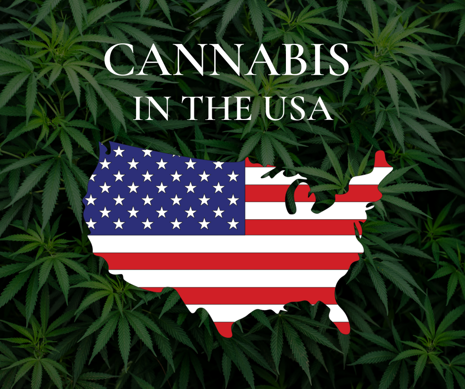 Cannabis in the USA– TheHippiePipe.com