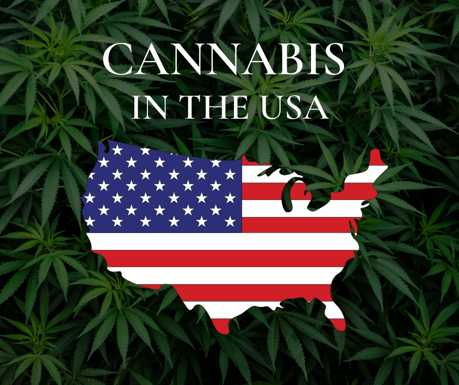 Cannabis in the USA