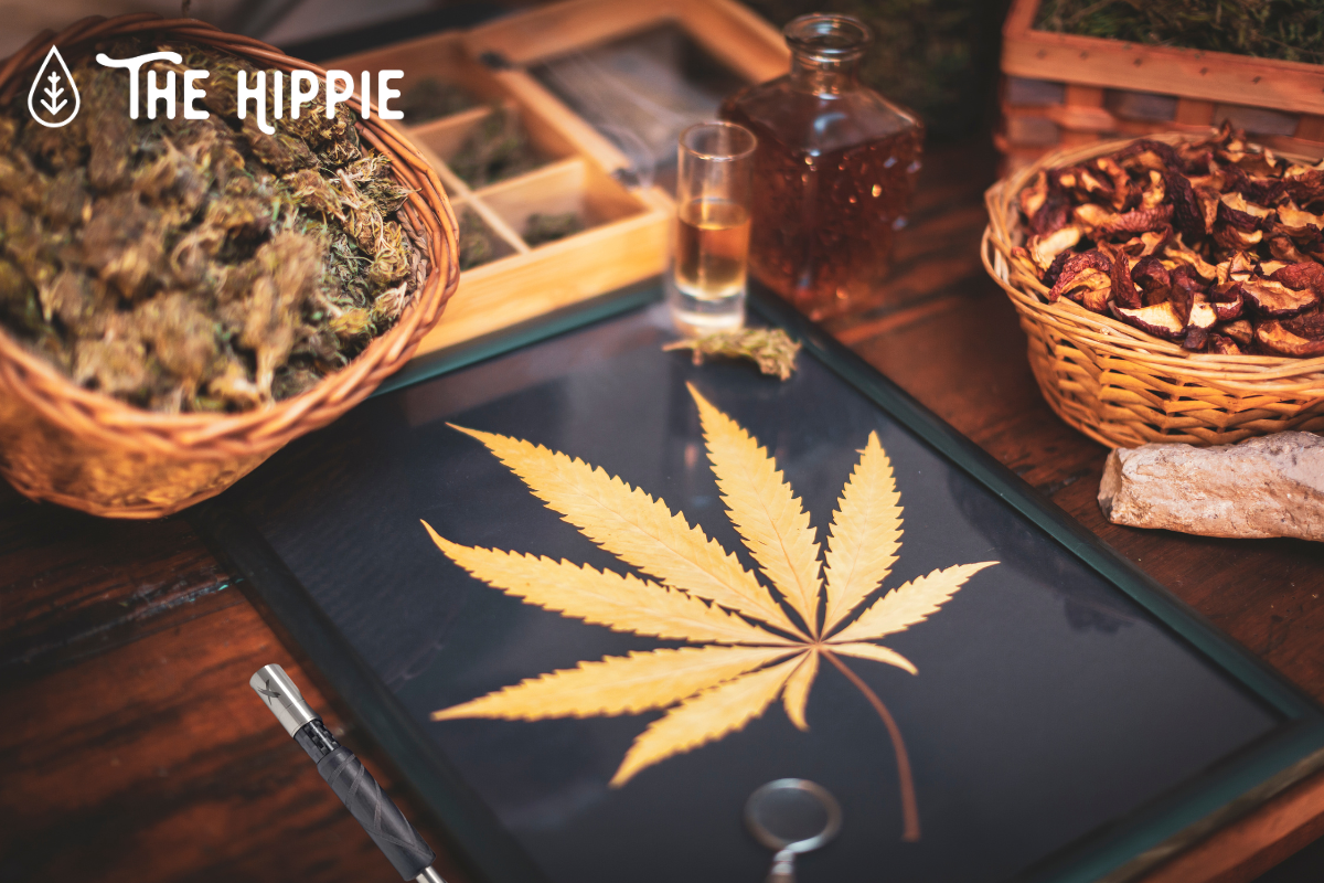 Weed Consumption Methods: Pros, Cons, and Effects