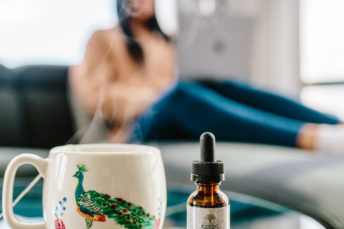 Exploring the Potential of Cannabis in Managing Epilepsy