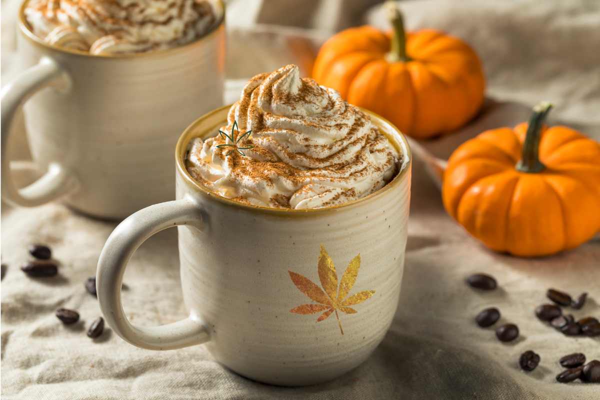 Cannabis-Infused Pumpkin Spice Latte Recipe