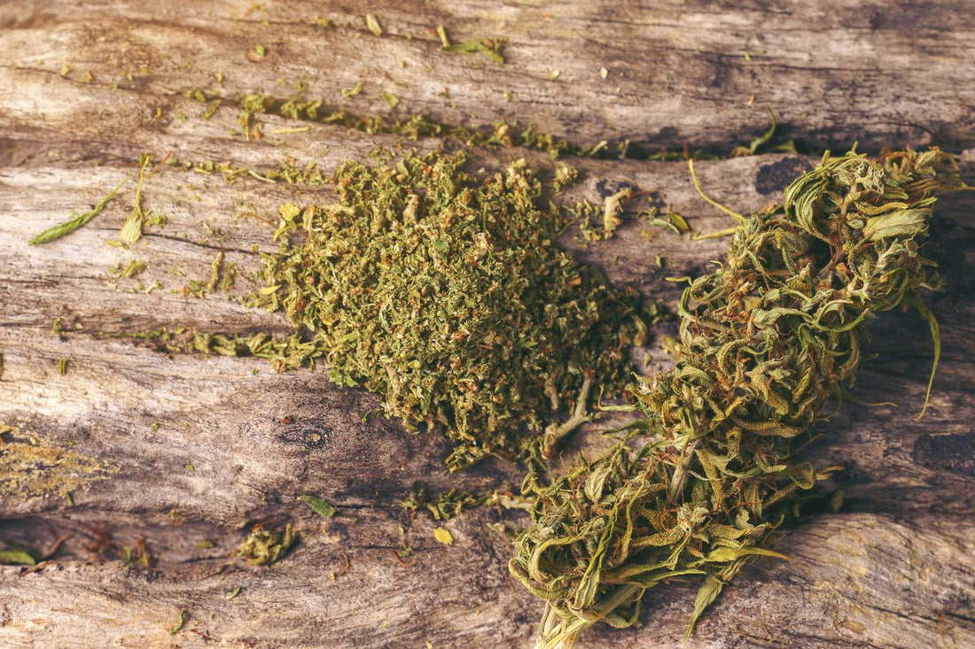 Unlock the Secrets of Watercured AVB! FAQs Answered Here