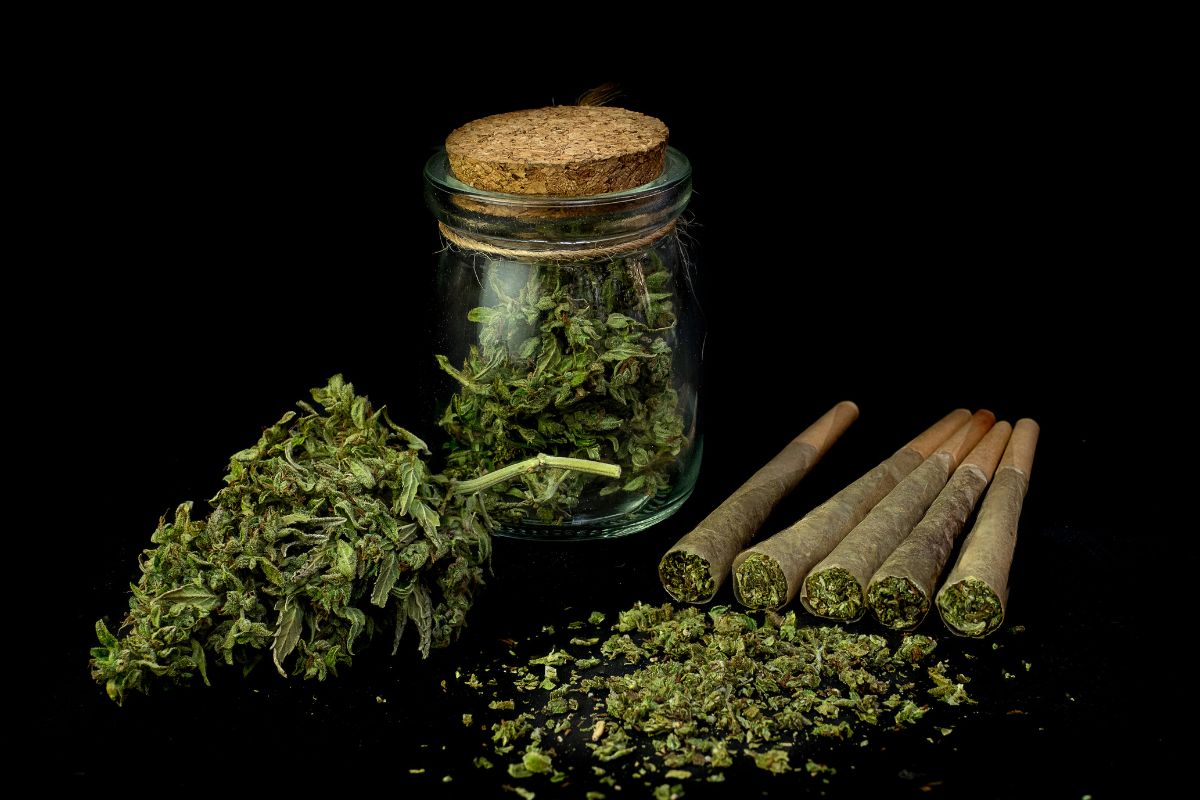 Indica Vs. Sativa - What Sets Them Apart?– TheHippiePipe.com