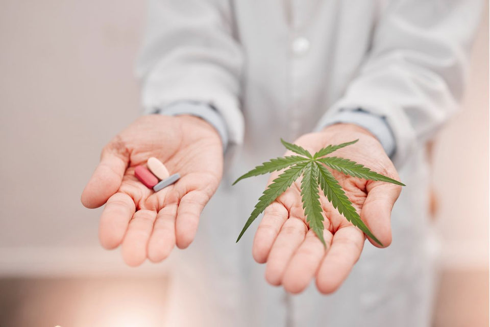 Cannabis and Pain Relief: Exploring the Potential Benefits