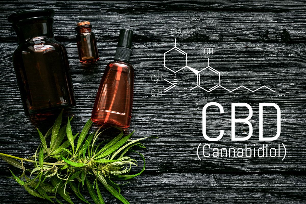 What Is CBD Oil?