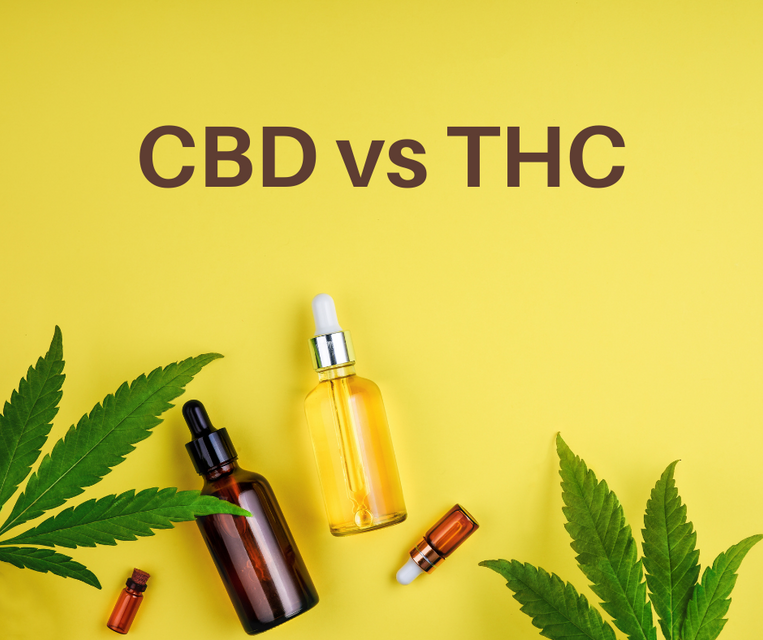 CBD vs THC