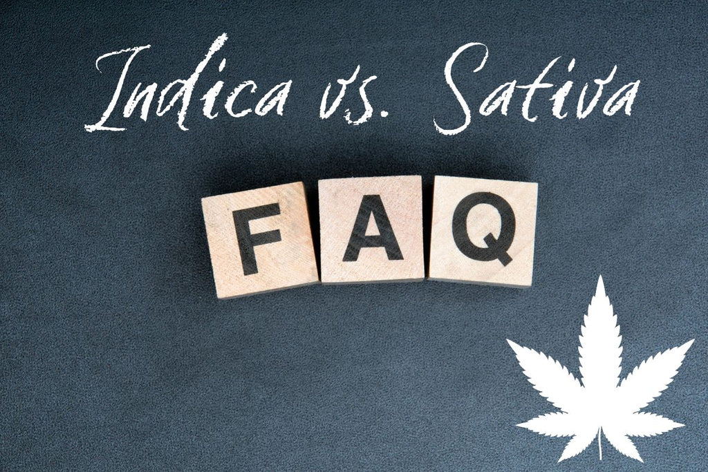 Indica vs. Sativa: Your Frequently Asked Questions Answered
