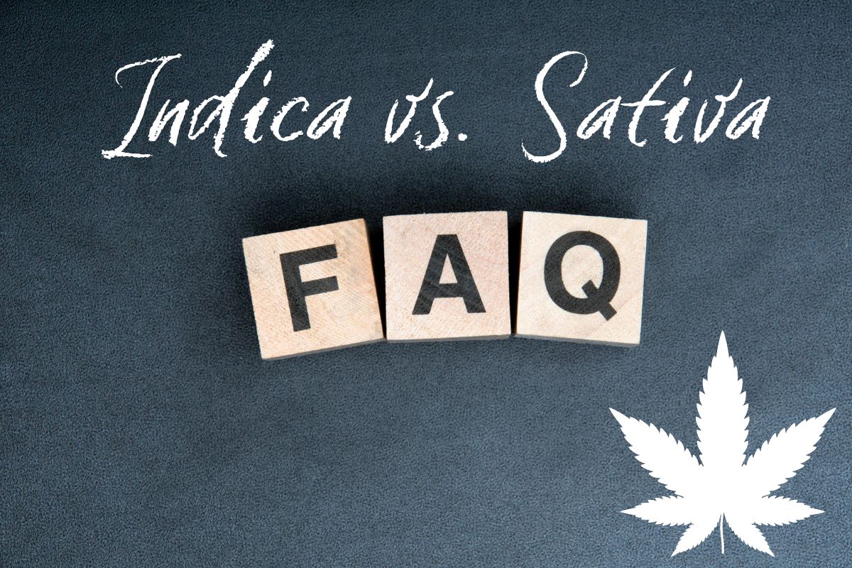 indica-vs-sativa-your-frequently-asked-questions-answered